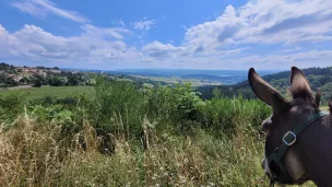 Vue sur Pradelles depuis le Chemin de Stevenson © Martin Obadia