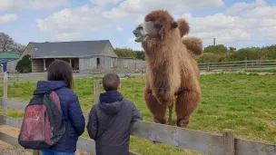 Le parc animalier La Ferme d'Eden à Saint-Vougay @ Christophe Pluchon, RCF 2022