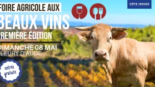 Foire agricole aux Beaux Vins