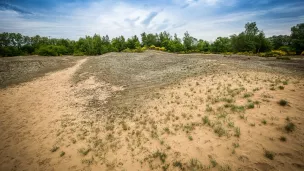 Dune de Sermoyer, photo de Patrimoine des Pays de l'Ain