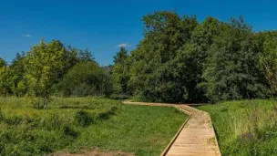 La Fuie des vignes, 80ha à Alençon consacrés à la biodiversité terrestre et aquatique @alencon.fr