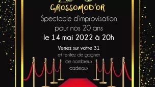 La troupe d'improvisation fêtera ses 20 ans le 14 mai (https://fb.me/e/5f7bOjDIf)