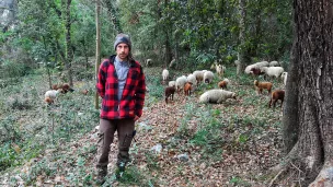 Yoann, berger à La Colle-sur-Loup 