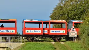 Train des mouettes ©Patrick-Staehle