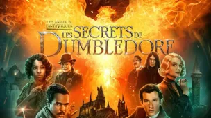 " Les Animaux Fantastiques : les Secrets de Dumbledore " de David Yates