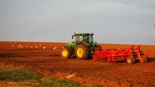 Un agriculteur travaille dans un champ, accompagné par des cigognes - © piqsels