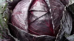 La cuisson du Chou Rouge Cabus
