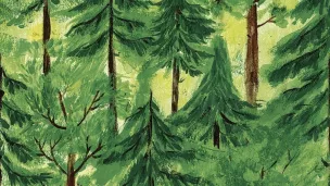 " L’âge de la forêt ", de Charline Collette - éditions la joie de lire