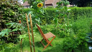 Jardin en permaculture, ©Terence Groos