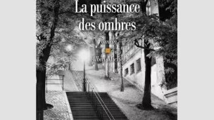 La puissance des ombres. Roman de Sylvie Germain publié chez Albin Michel