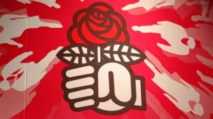 la rose du PS - © DR