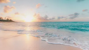 https://media.rcf.fr/sites/default/files/styles/crop_thumbnail/temporary/Unsplash%20by%20Sean-Oulashin.jpg