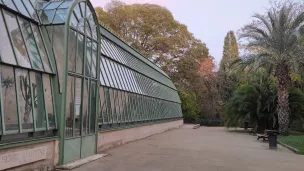 RCF34 - L'Orangerie au Jardin des plantes de Montpellier 