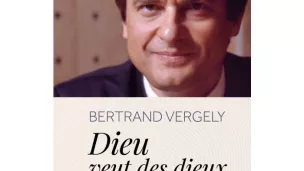 Couverture de l'ouvrage Dieu veut des dieux, de Bertrand Vergely