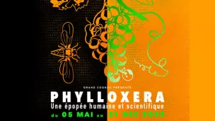 Exposition Phylloxera Cognac