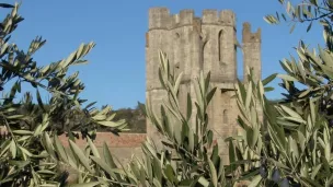 Abbaye de Lagrasse