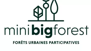 Minibigforest Normandie