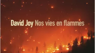 Nos vies en flamme (Joy - Sonatine)