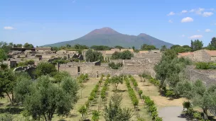 Pompéi : terre fertile au pied du Vésuve. © Wikipedia.