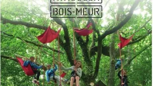 2022 Un dimanche en forêt 