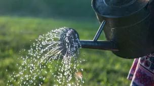 Des restrictions en plus pour l'arrosage dans la vallée de l'Estéron. Les potagers devront rester à sec. Photo by David Ballew on Unsplash