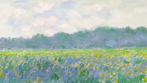 Exposition au musée d’art moderne « Métamorphoses. Dans l’art de Claude Monet »