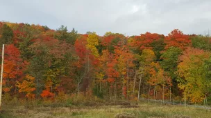 Paysage Montreal