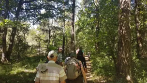 Balade en forêt de Brocéliande. ©Margot Douétil