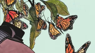 Les petits monarques (Case - Dupuis)