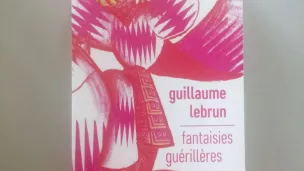 Fantaisies guérillères  © Furet du Nord