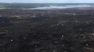 1771 hectares ont brûlés dans les monts d'Arrée - ©Ronan Le Coz
