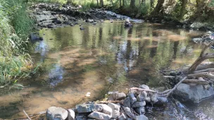 La Borne à Saint-Vidal fait partie des cours d'eau surveillés chaque année. ©Cédric Bonnefoy