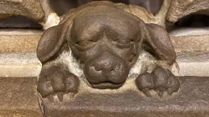 La mascotte de la cathédrale de Strasbourg - © Made In Alsace