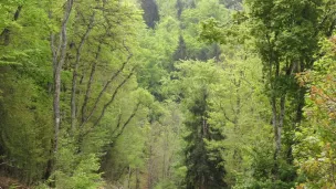 Vue du Nord Vercors au printemps 