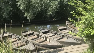 Les bateaux du Marais audomarois  © RCF Hauts de France