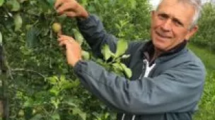 Laurent Rougerie, Président du syndicat AOP pomme du Limousin