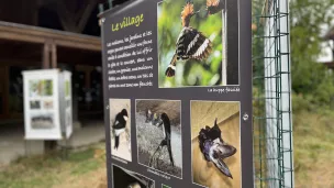 "Expositions nature" à Der Nature 