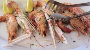 Locmiquélic fêtera les langoustines ce week-end. Pixabay.