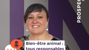 Vanessa Guesdon - Junia