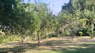 Les jardins de l'abbaye de Vaucelles