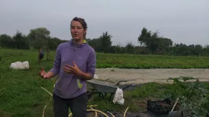 Agnès Kindt cultive 2,3 hectares à Houplines depuis 2012