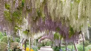 Le parc Floral d'Apremont-sur-Allier. © Facebook Officiel.