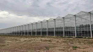 A Lasse, quatre hectares de serres de tomates sont chauffées grâce à l'incinérateur de déchets. ©RCF Anjou