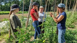 3 jeunes et leur encadrante sur le chantier d'insertion Nature Solidaire