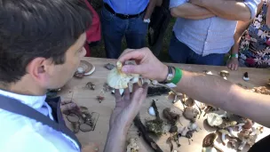 Jacques Marcon, chef 3 étoiles, avec le mycologue Jean-Manuel Martin. Auvergne Toques Chaud. Crédit : Vincent Imbert