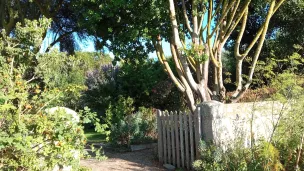 Le jardin du Lazaret sur l'île Tatihou ©RCF Manche