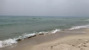 Les départs en mer s'intensifient.