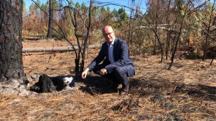 Jean-Luc Gleyze à Hostens après les incendies qui ont brulé 500 hectares de forêt en Gironde cet été 2022 ©RCFBordeaux