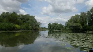 Marais audomarois  © Parc naturel régional des Caps et Marais d’Opale