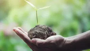 Découvrir l'écologie intégrale à l'école de Laudato Si